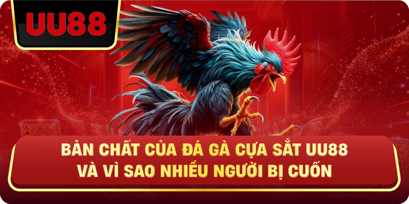 Bản Chất Của Đá Gà Cựa Sắt Uu88 Và Vì Sao Nhiều Người Bị Cuốn